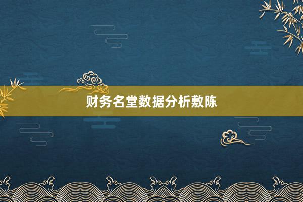 财务名堂数据分析敷陈