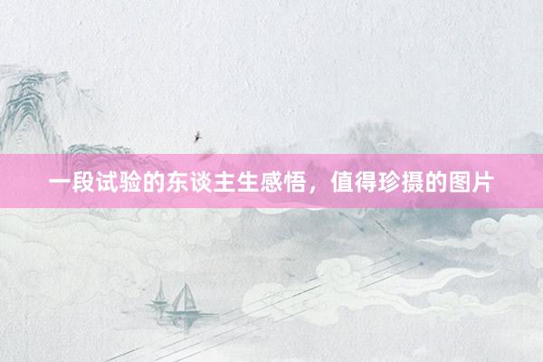 一段试验的东谈主生感悟，值得珍摄的图片